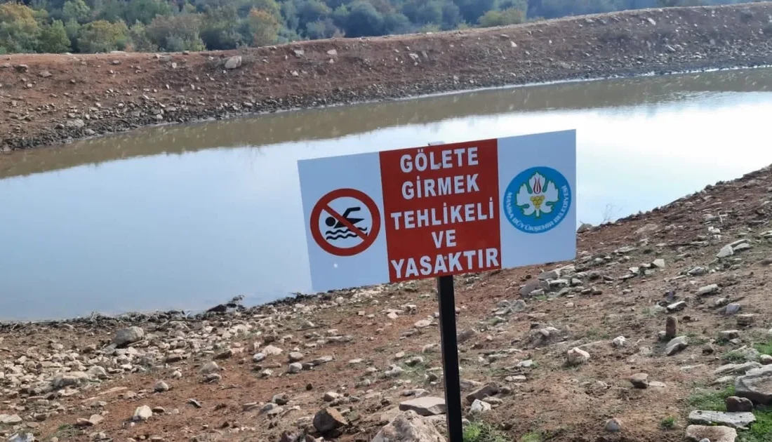 Manisa Büyükşehir Belediyesi, hava