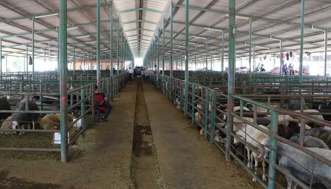 Manisa Büyükşehir Belediyesi, vatandaşların