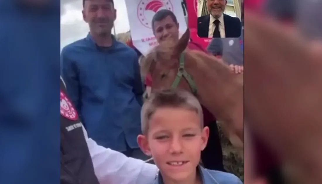 Kayseri’de tayının kırık ayağı