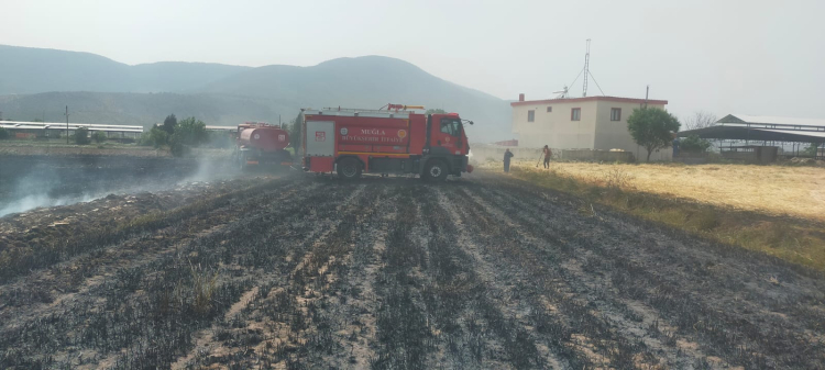 Muğla Büyükşehir ekipleri 6 Ayda 380 anız yangınına müdahale etti