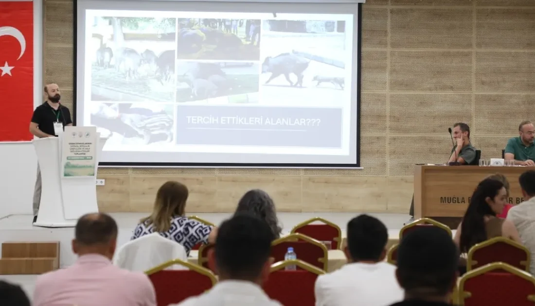 Muğla Büyükşehir Belediyesi ev