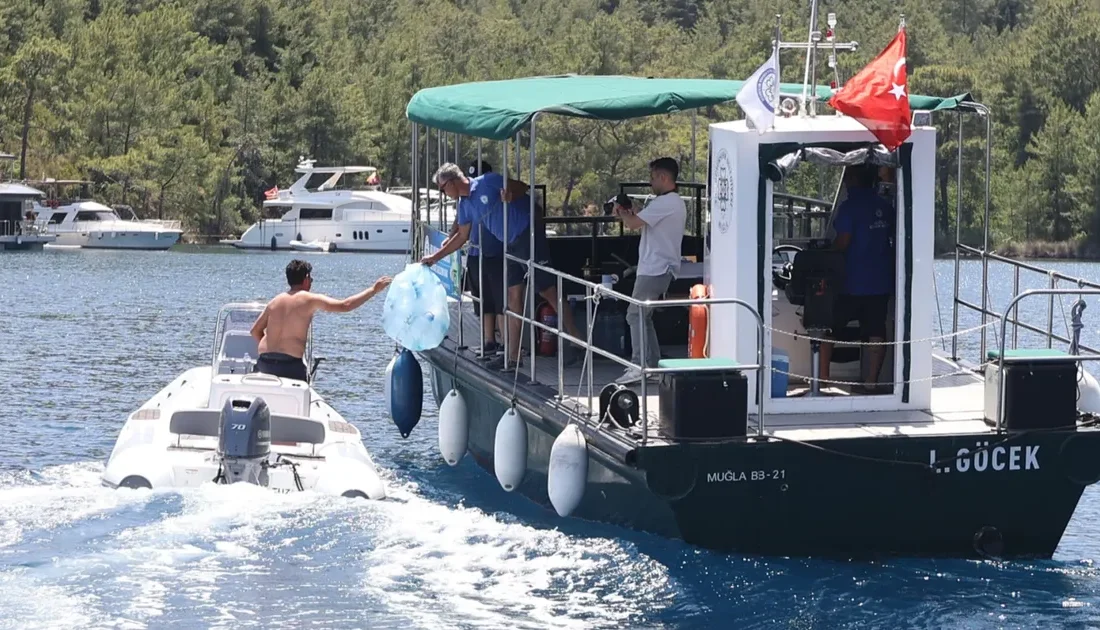 Muğla Büyükşehir Belediyesi, 8