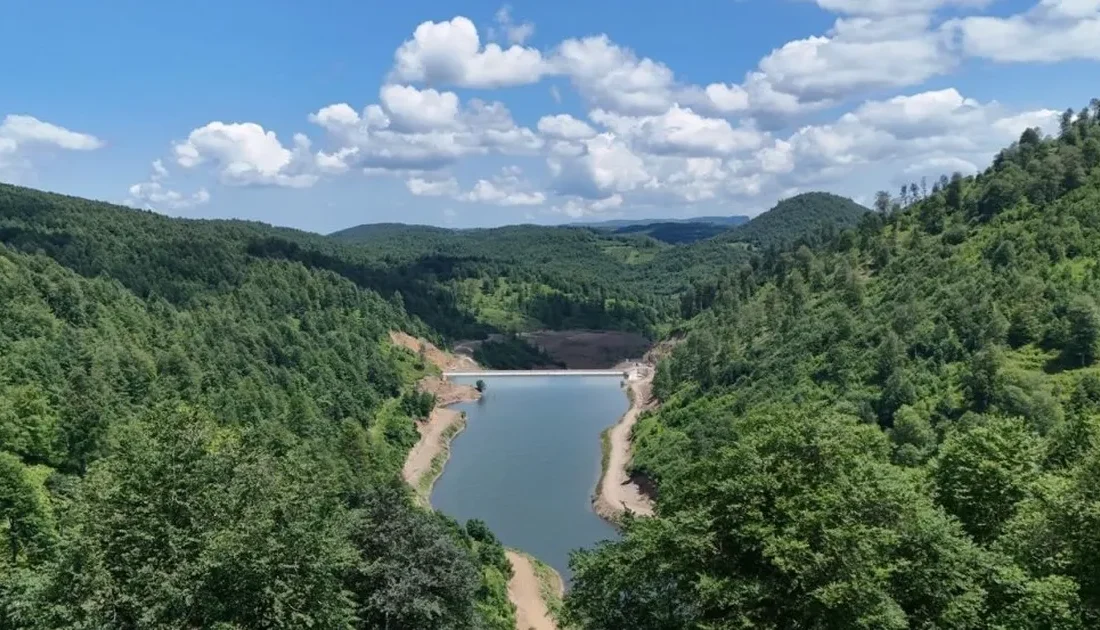 Ordu’nun Kumru ilçesinde su