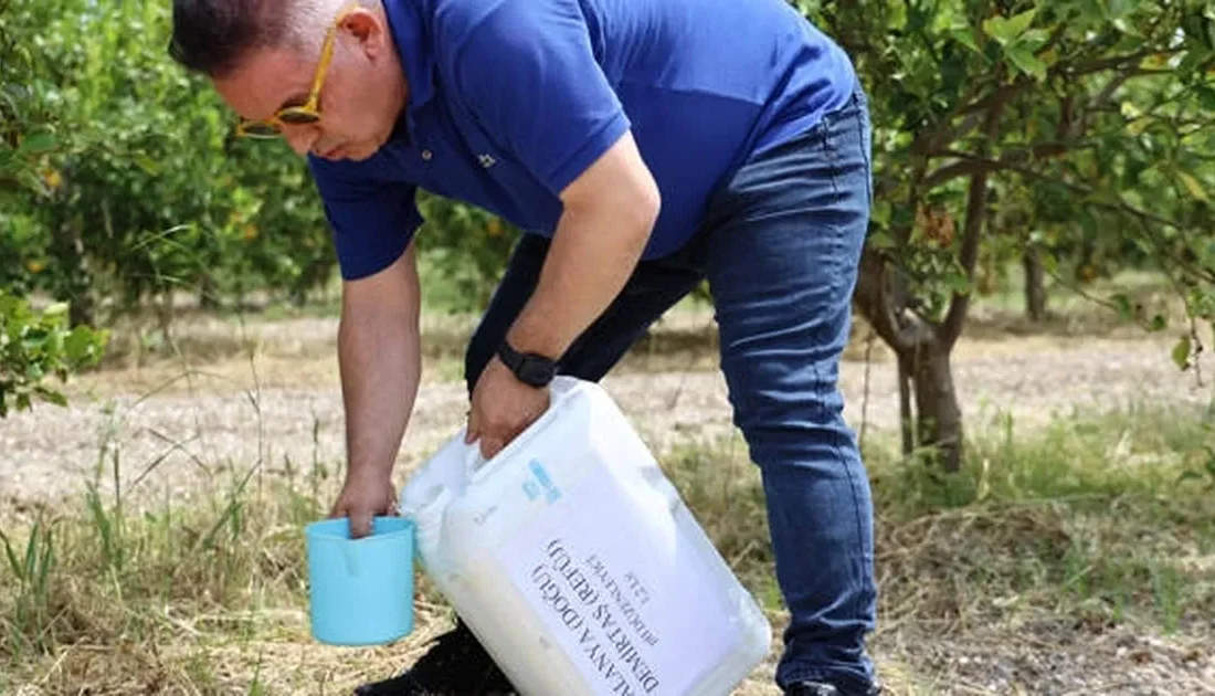 Antalya Büyükşehir Belediyesi, merkez