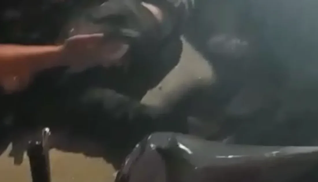 Düzce'nin Kültür mahallesi Mansur