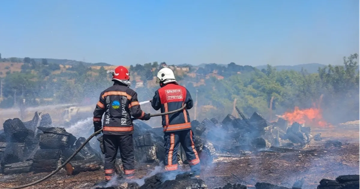 Sakarya Söğütlü’deki orman yangını kontrol altına alındı