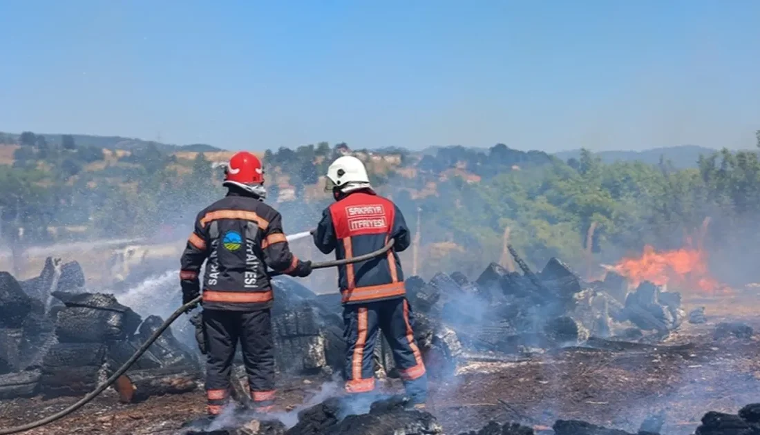Sakarya’nın Söğütlü ilçesinde Orman
