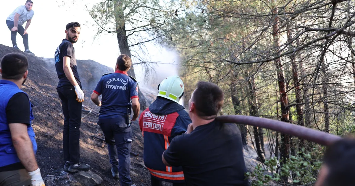 Sakarya’daki orman yangını kontrol altında: 3 gözaltı!