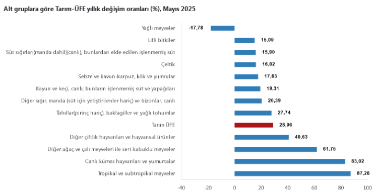 Tarım-ÜFE verileri açıklandı... Tropikal meyveler yine rekor kırdı