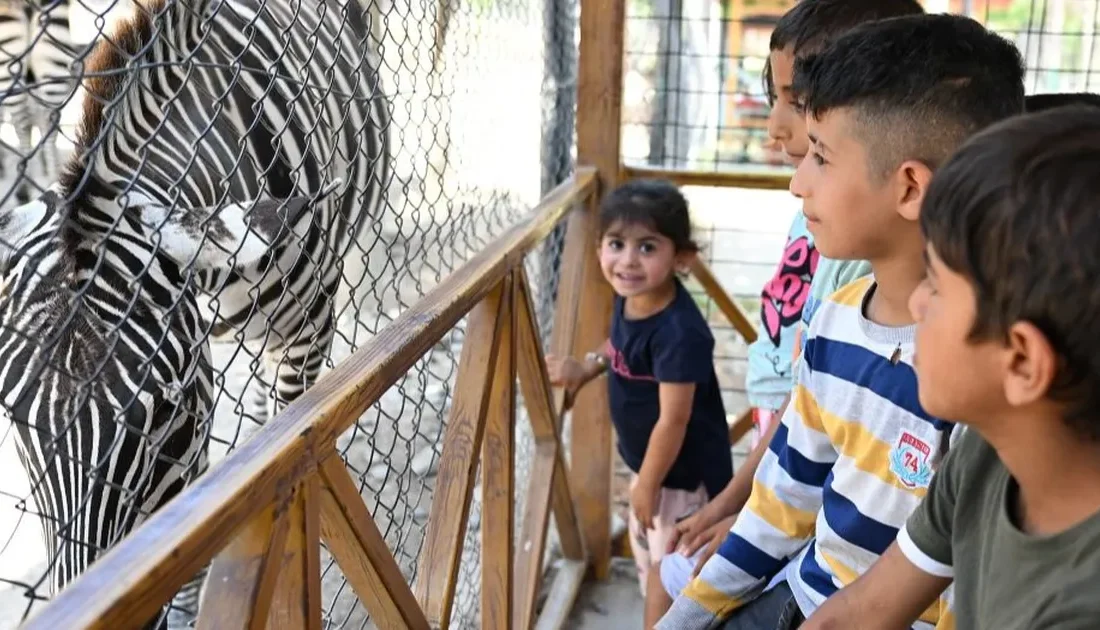 Mersin Büyükşehir Belediyesi Veteriner