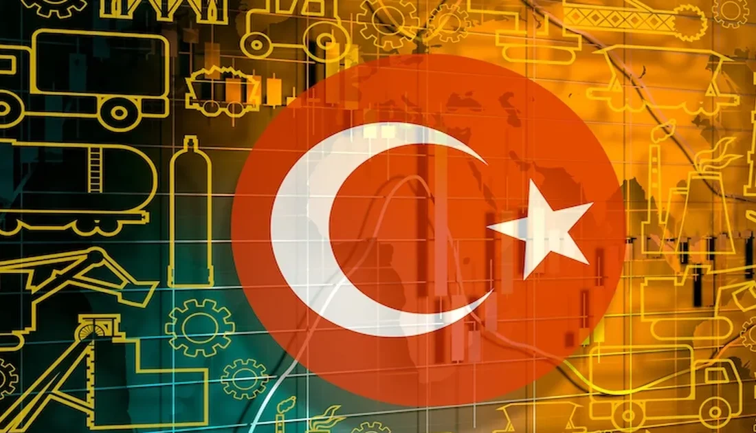 Türkiye’de 2024 yılında 1,1