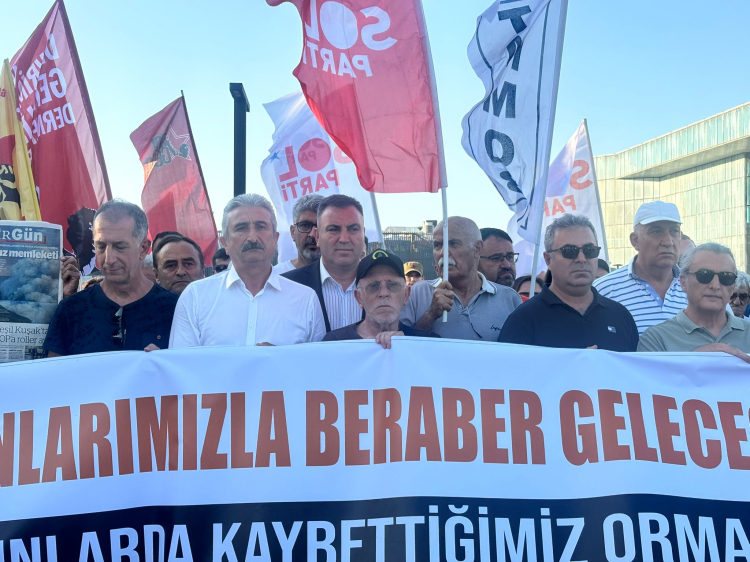 Artan orman yangınlarına Bursa'dan ses oldular! Mücadelede toplum temelli yaklaşık çağrısı