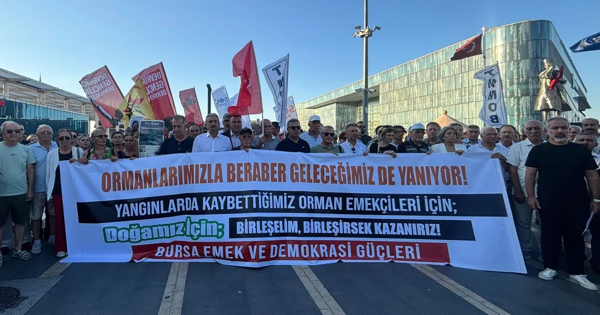 Artan orman yangınlarına Bursa’dan ses oldular! Mücadelede toplum temelli yaklaşık çağrısı