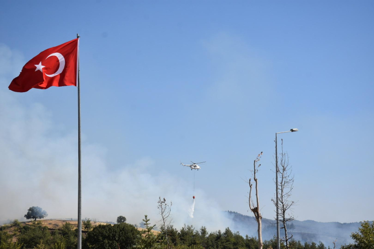 Bakan Yerlikaya'dan 5 günlük yangın raporu: 7 gözaltı, 3 tutuklama
