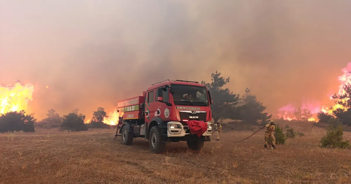 Bakan Yerlikaya’dan 5 günlük yangın raporu: 7 gözaltı, 3 tutuklama