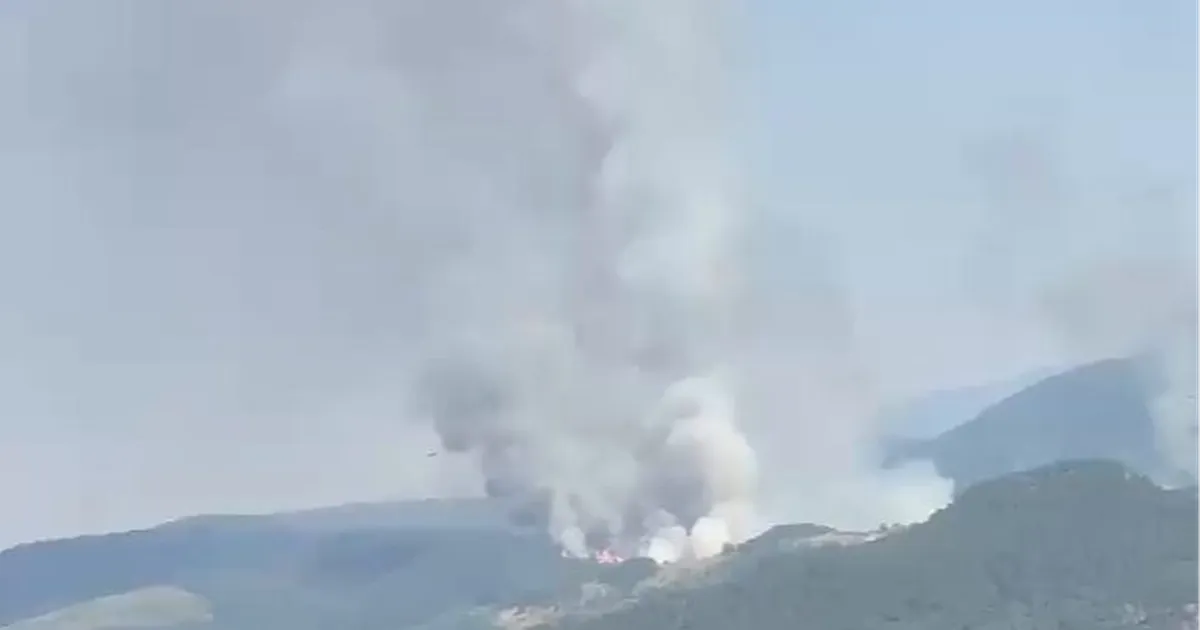Balıkesir Sındırgı'da orman dışı alanda yangın!