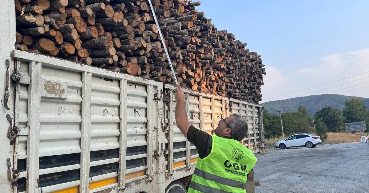 Bilecik Pazaryeri’nde orman emvali denetimi