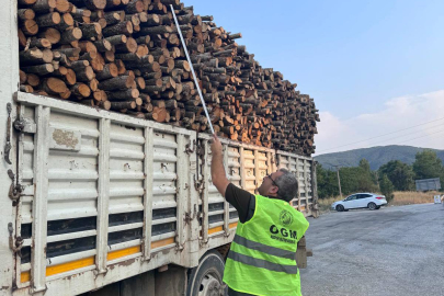 Bilecik Pazaryeri’nde orman emvali denetimi