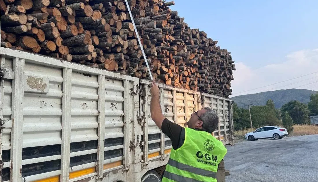 Ormanların korunması ve kaçak