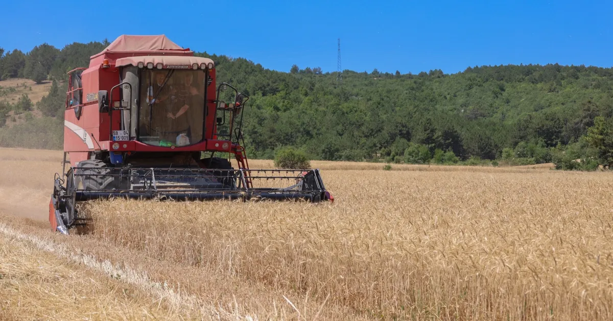 Bilecik’te 75 bin ton buğday üretildi