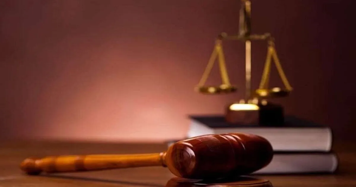 Bilirkişilikte temel eğitim yetkisi genişletildi