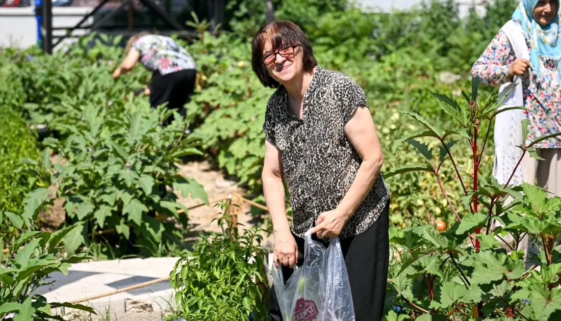 Bornova Belediyesi’nin Altındağ ve