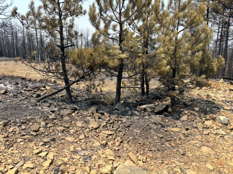 Bursa Harmancık’ta dört koldan seferberliğe devam