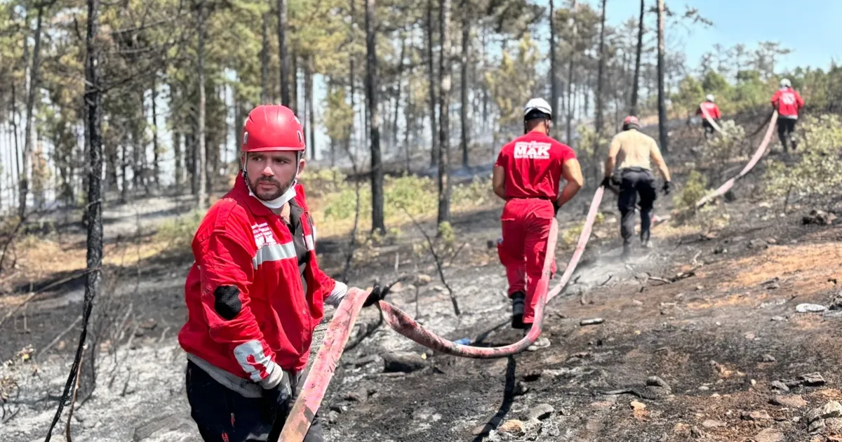 Bursa Harmancık’ta dört koldan seferberliğe devam