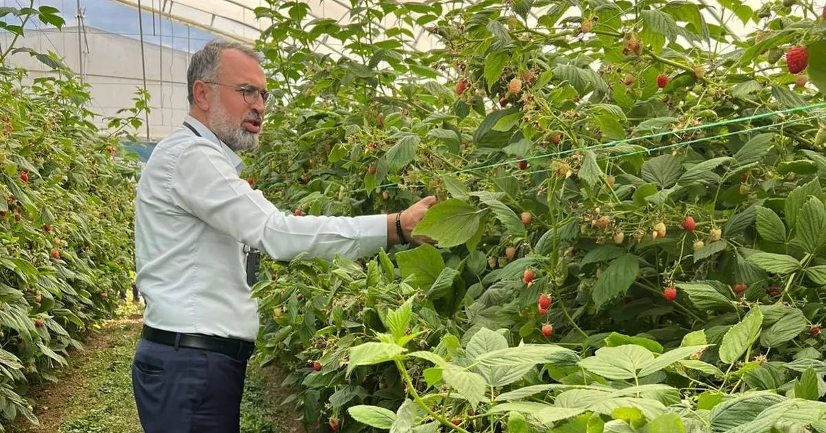 Bursa Kestel ve Gürsu’dan Sırbistan’a tarım çıkarması