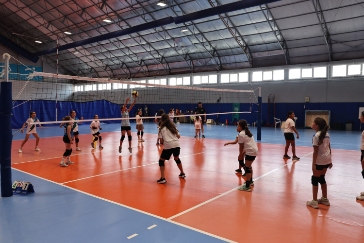 Bursa Nilüfer'de minik sporcular sertifikalandı