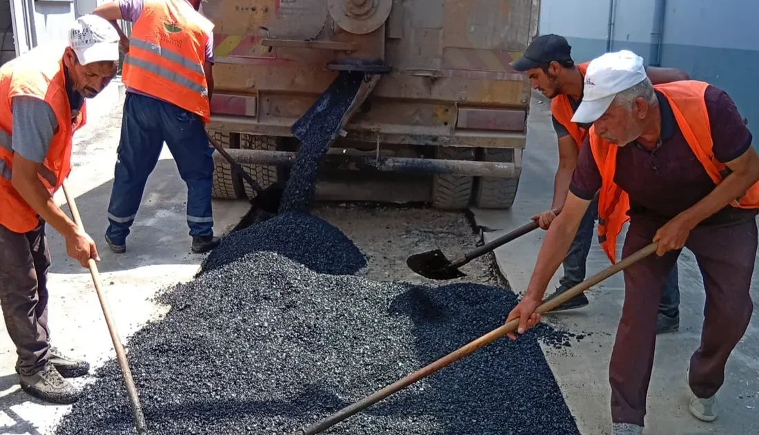 Bursa Osmangazi Belediyesi, daha