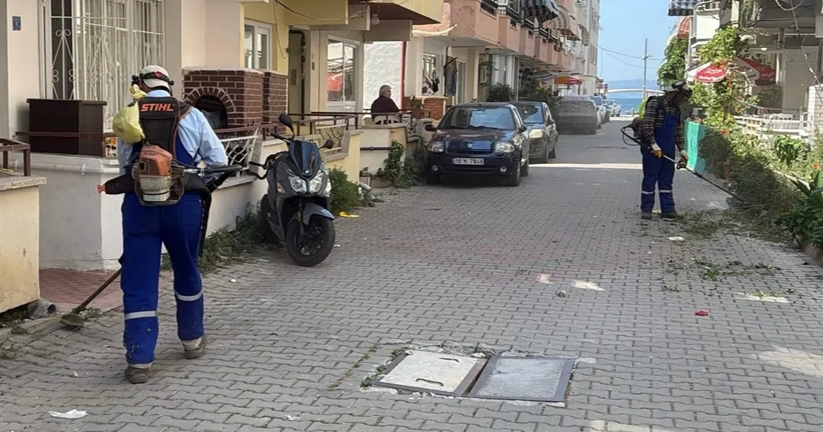 Bursa'da Gemlik Belediyesi'nden Kumla’ya yaz temizliği desteği
