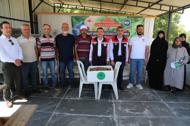 Bursa’da organik salep üretimi başlıyor