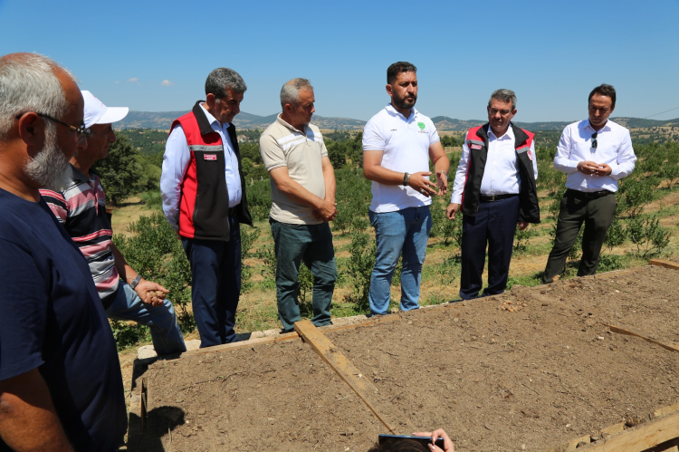 Bursa’da organik salep üretimi başlıyor