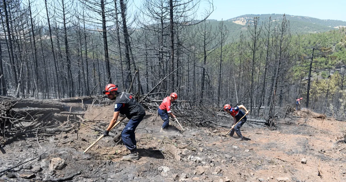 Bursa'da orman yangınlarına OSAD'dan koordineli müdahale