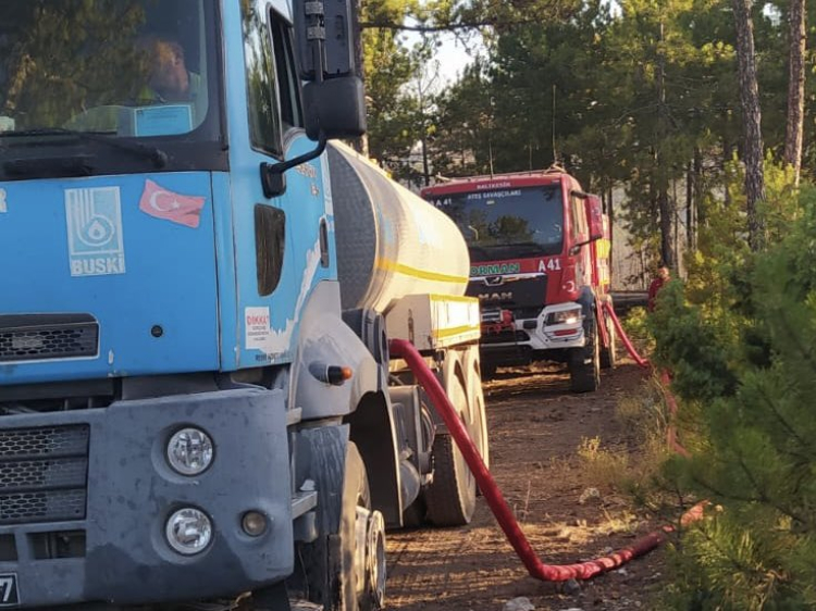 Bursa’da orman yangınlarında son durum... 9 mahalle boşaltıldı, hayvan barınağı yandı!