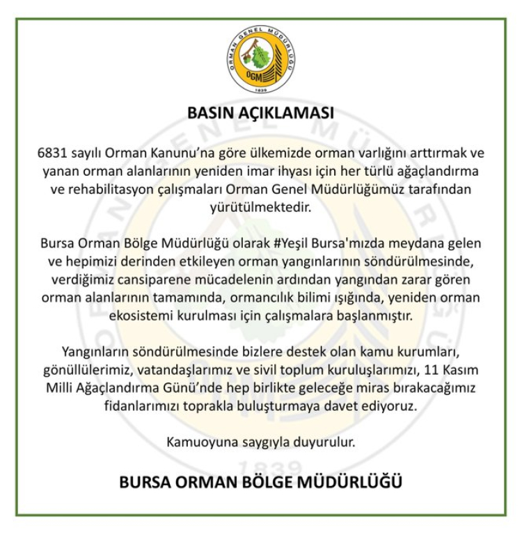 Bursa’da yanan ormanlar yeniden yeşerecek... 11 Kasım’da fidan dikimine davet
