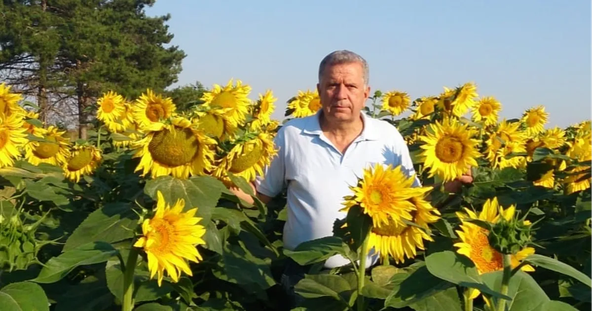 CHP’li Oğuz’dan Trakya’da ayçiçeği alarmı!