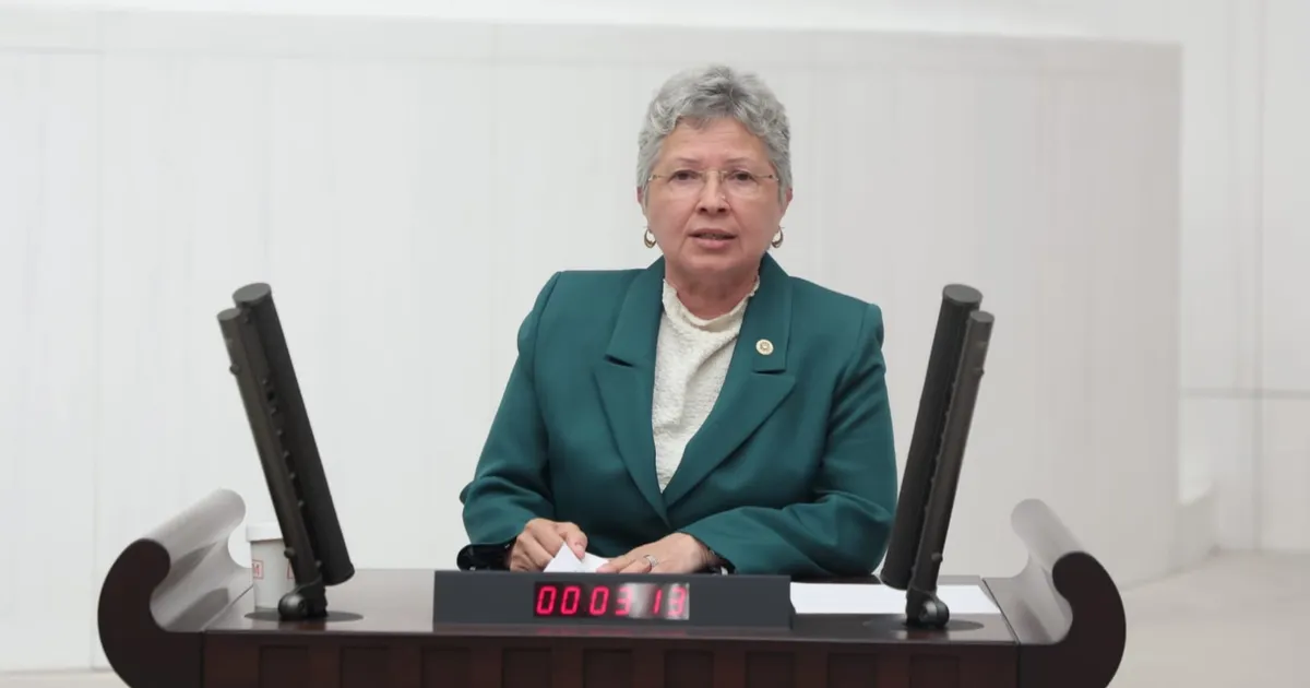 CHP’li Yontar: Zeytini kömüre feda etmek geleceğe ihanettir!