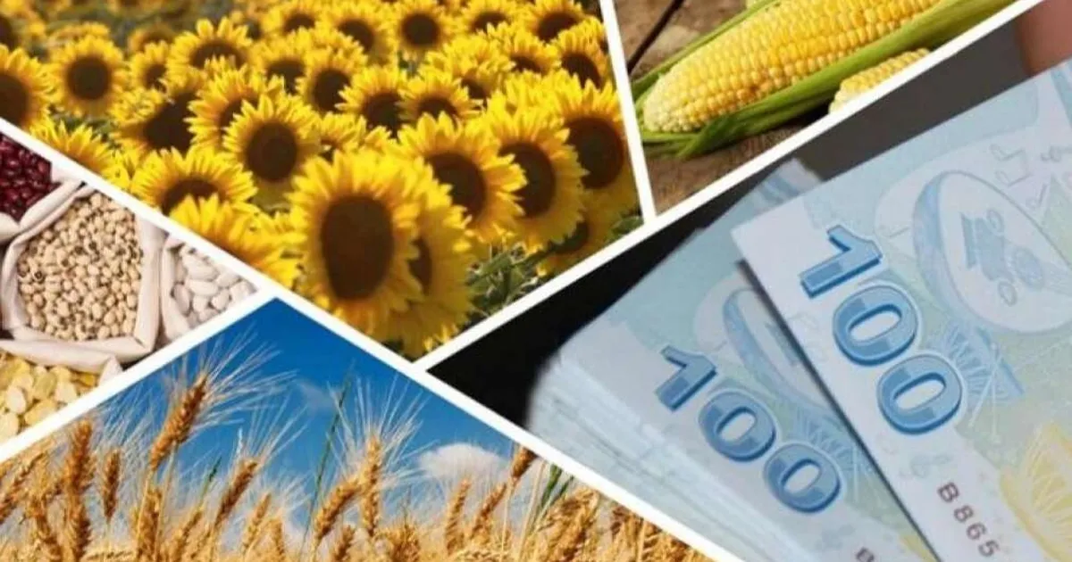 Çiftçilere 1,7 milyar TL’lik destek ödemesi hesaplarda