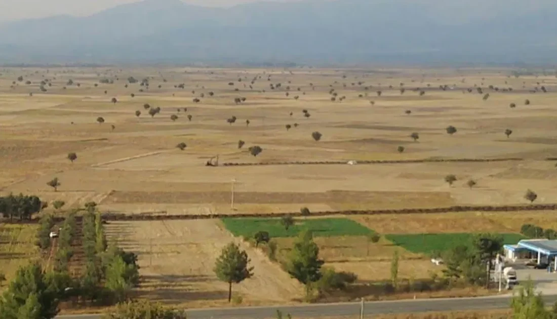 Denizli’nin tarım merkezi Tavas