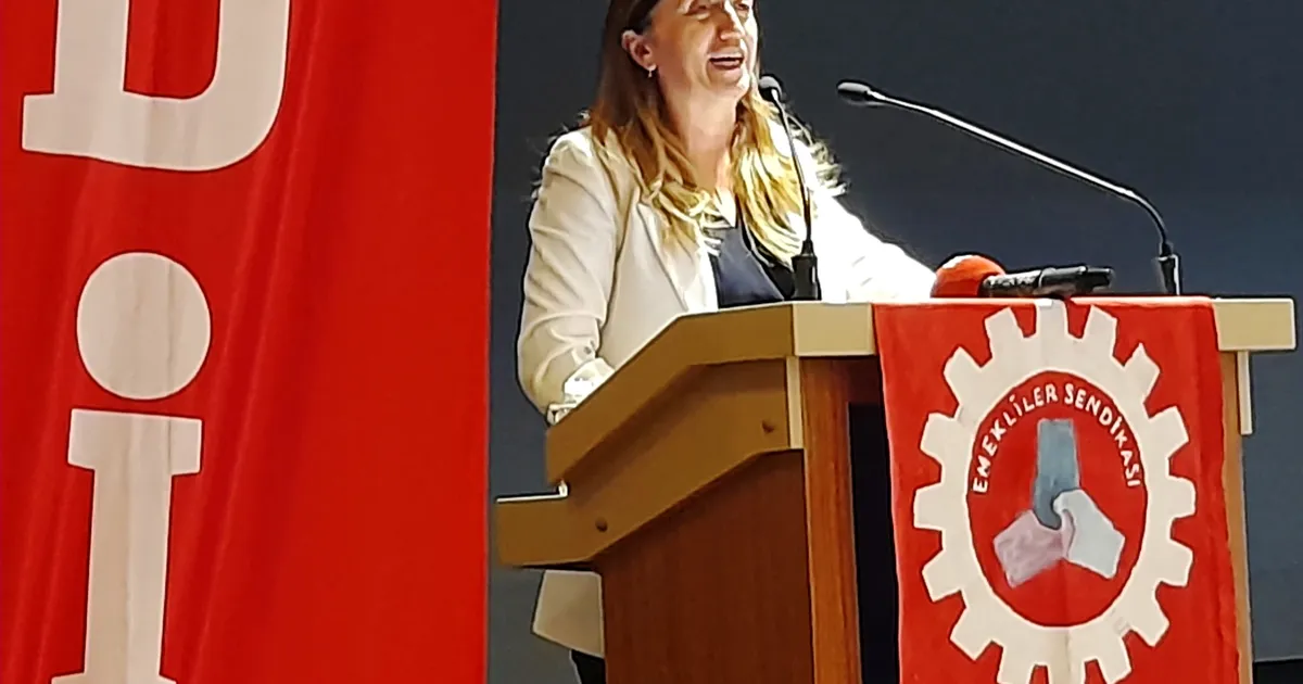 DİSK Emekli-Sen'den Ankara’da büyük buluşma