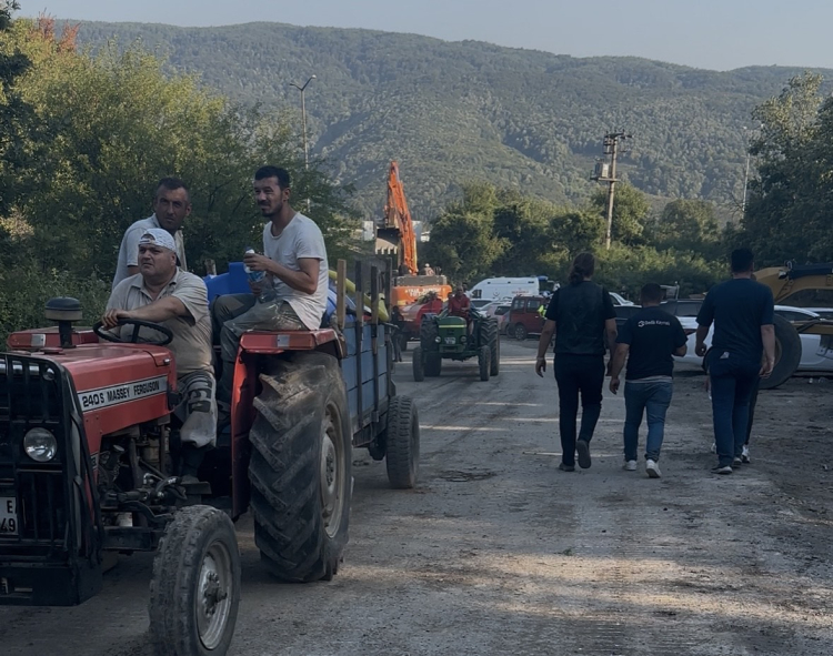 Düzce-Sakarya sınırında orman yangını