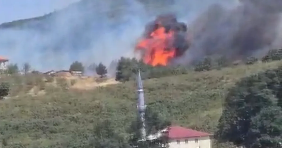 Düzce-Sakarya sınırında orman yangını