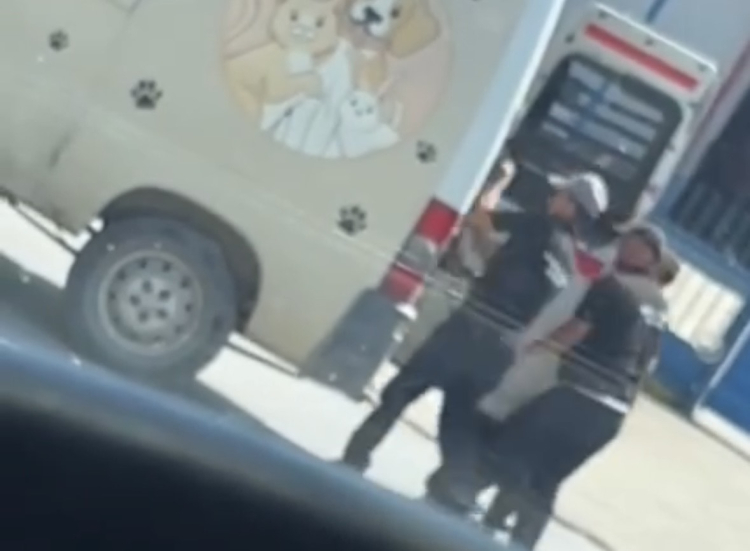 Düzce’de sokak köpeklerinin toplanma görüntüleri sosyal medyada tepki çekti