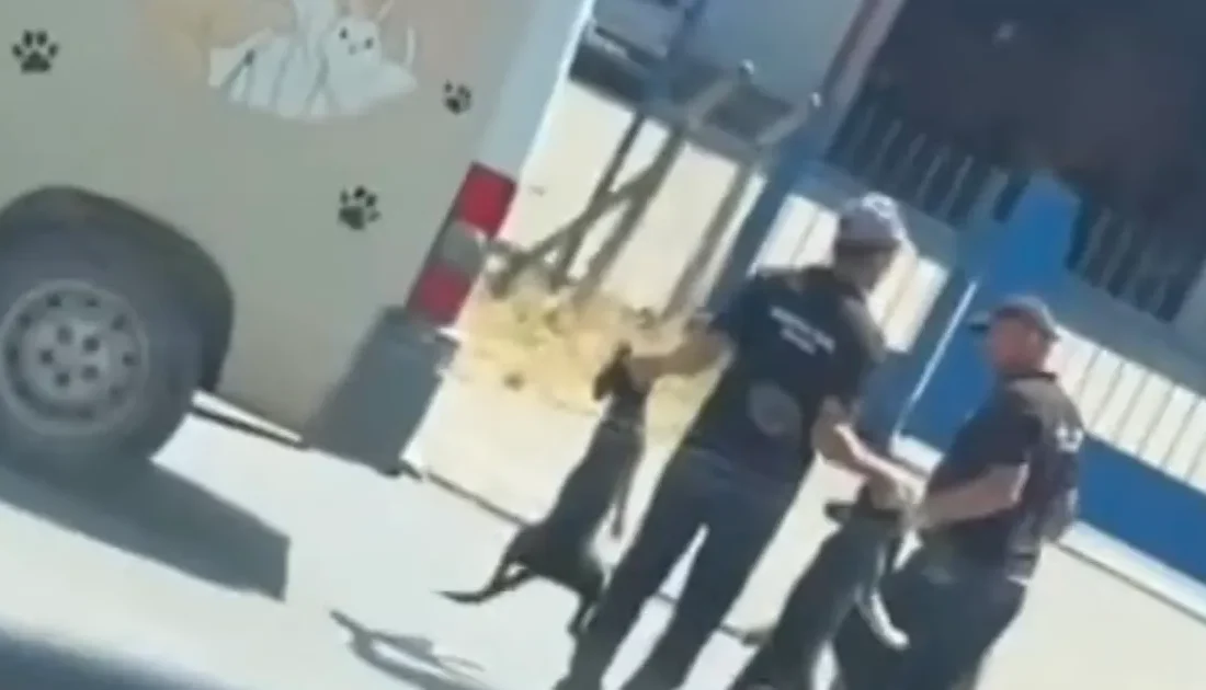 Düzce İl Özel İdare
