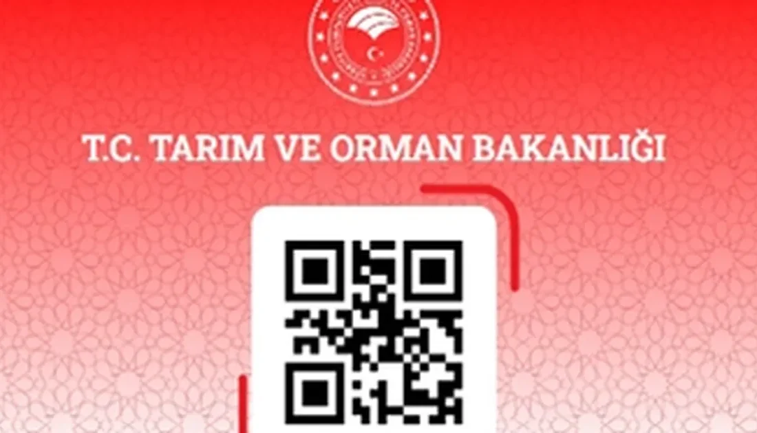 Gıda satış ve toplu