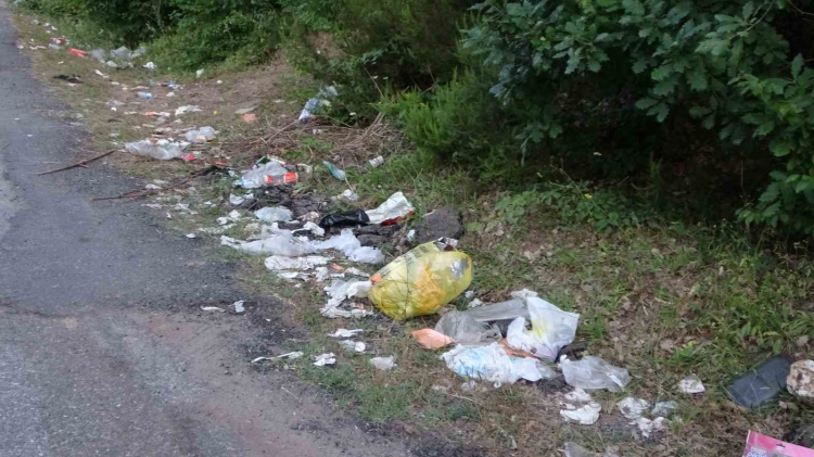 İstanbul Şile'de atık sorunu! Şile'de çevre kirliliği alarmı