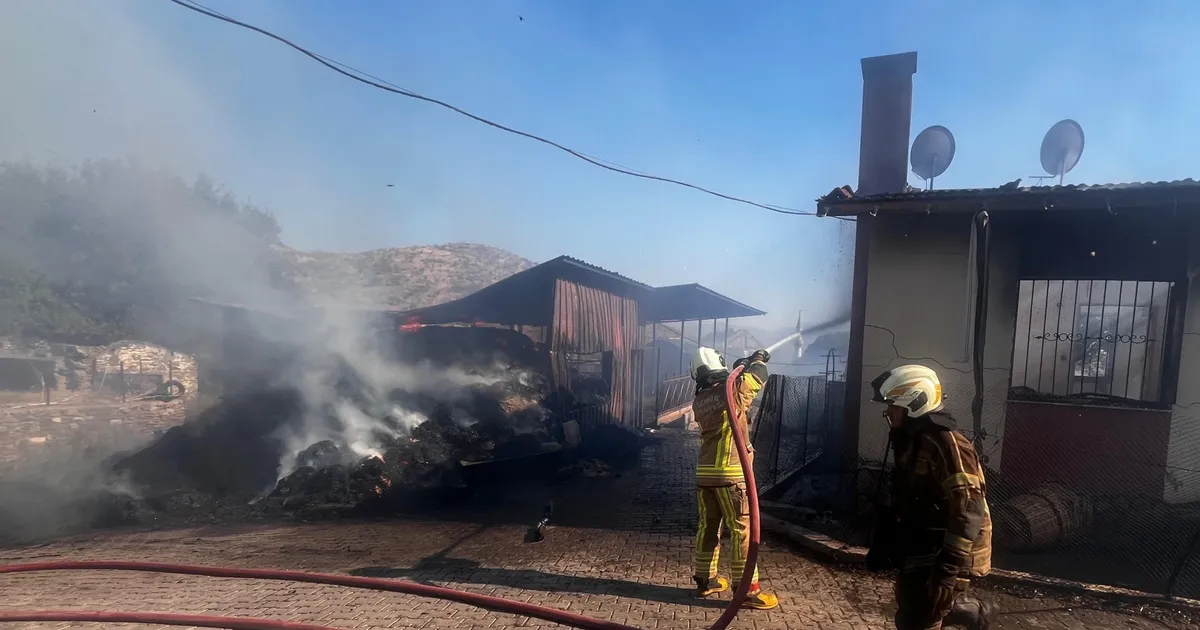 İzmir Bayındır’da ot yangını yerleşimi tehdit etti… 100 kişi tahliye edildi