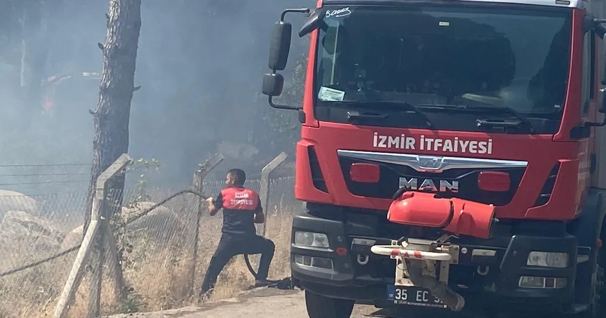 İzmir Bergama’da orman yangınına müdahale ediliyor